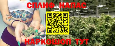 PSILOCYBIN Донской